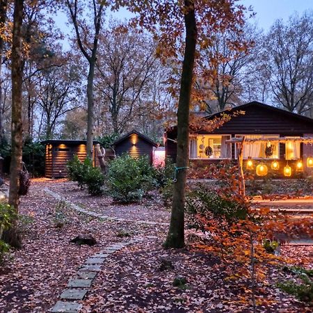 Lodge In Een Bosrijke Omgeving Met Hottub & Sauna Opt Rheezerveen Bagian luar foto